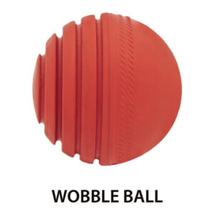 Omtex WobbleBall
